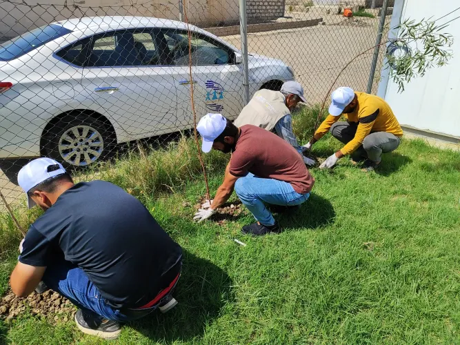 Celebrating International Day of peace