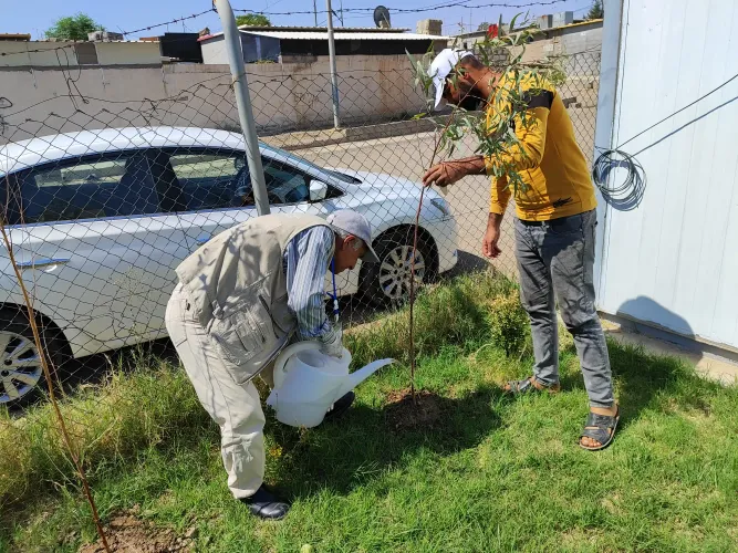 Celebrating International Day of peace