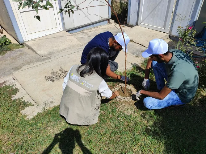 Celebrating International Day of peace